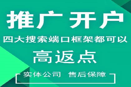 抖音信息流代理在电商行业的应用案例分析